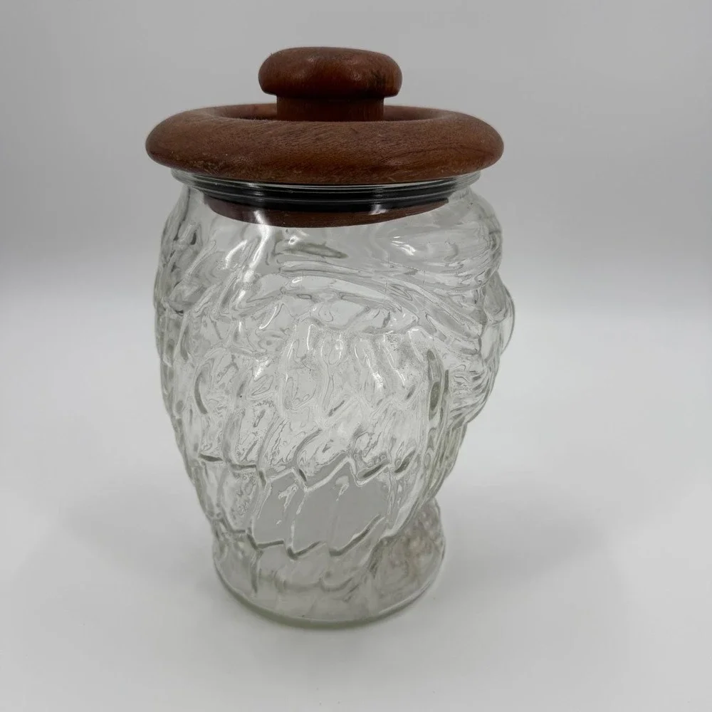 Vintage 70s Whimsical Glass Owl Kitchen Canister Storage Cookie Jar Teakwood Lid